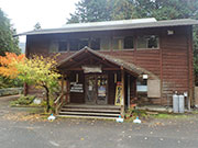 菩提樹(寂地峡キャンプ場内)