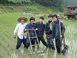 稲作体験